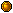 scarab coin